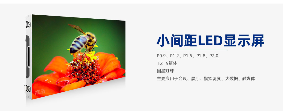 91视频在线观看APP